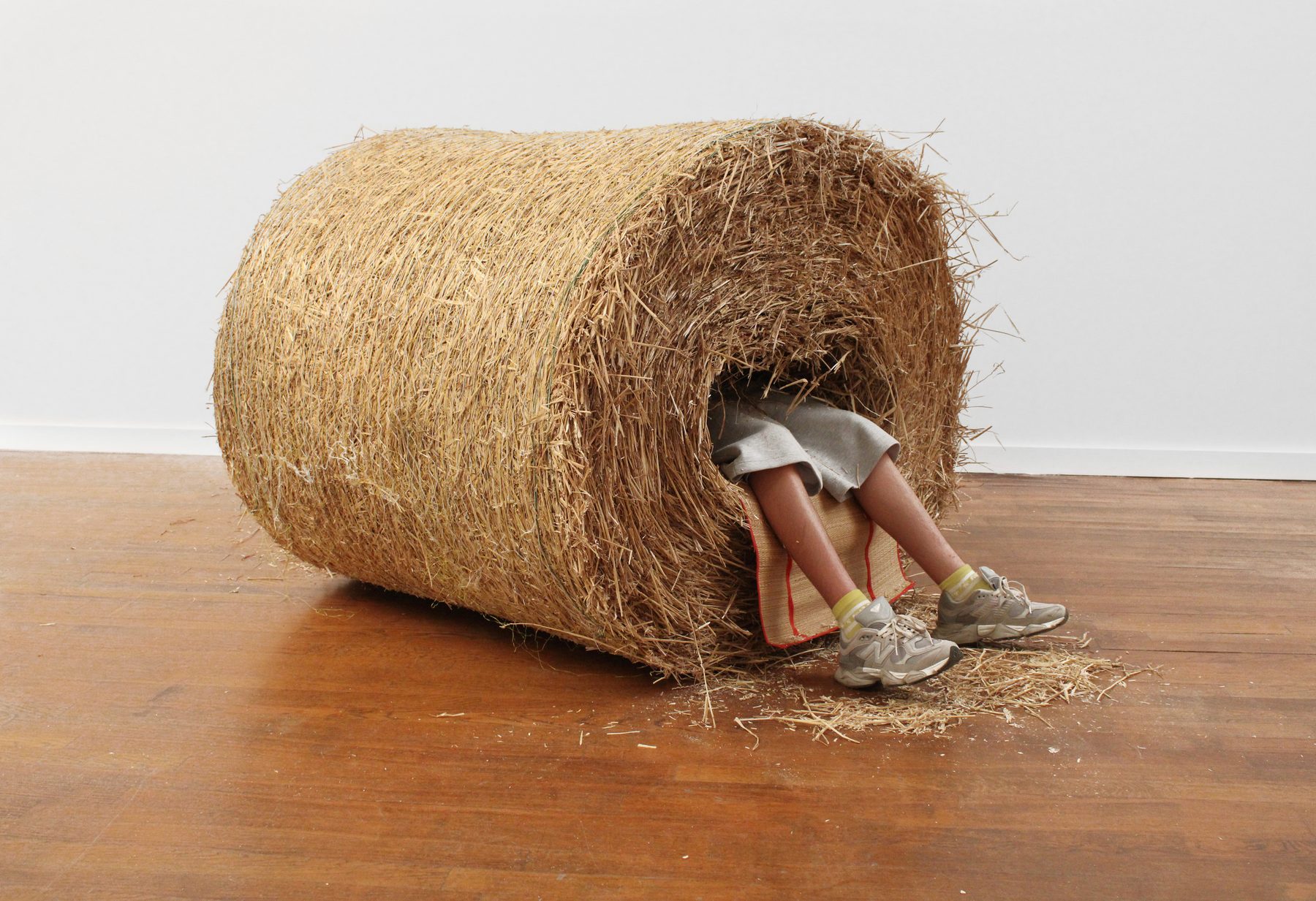 Alani Mohammed — Sans titre, 2026