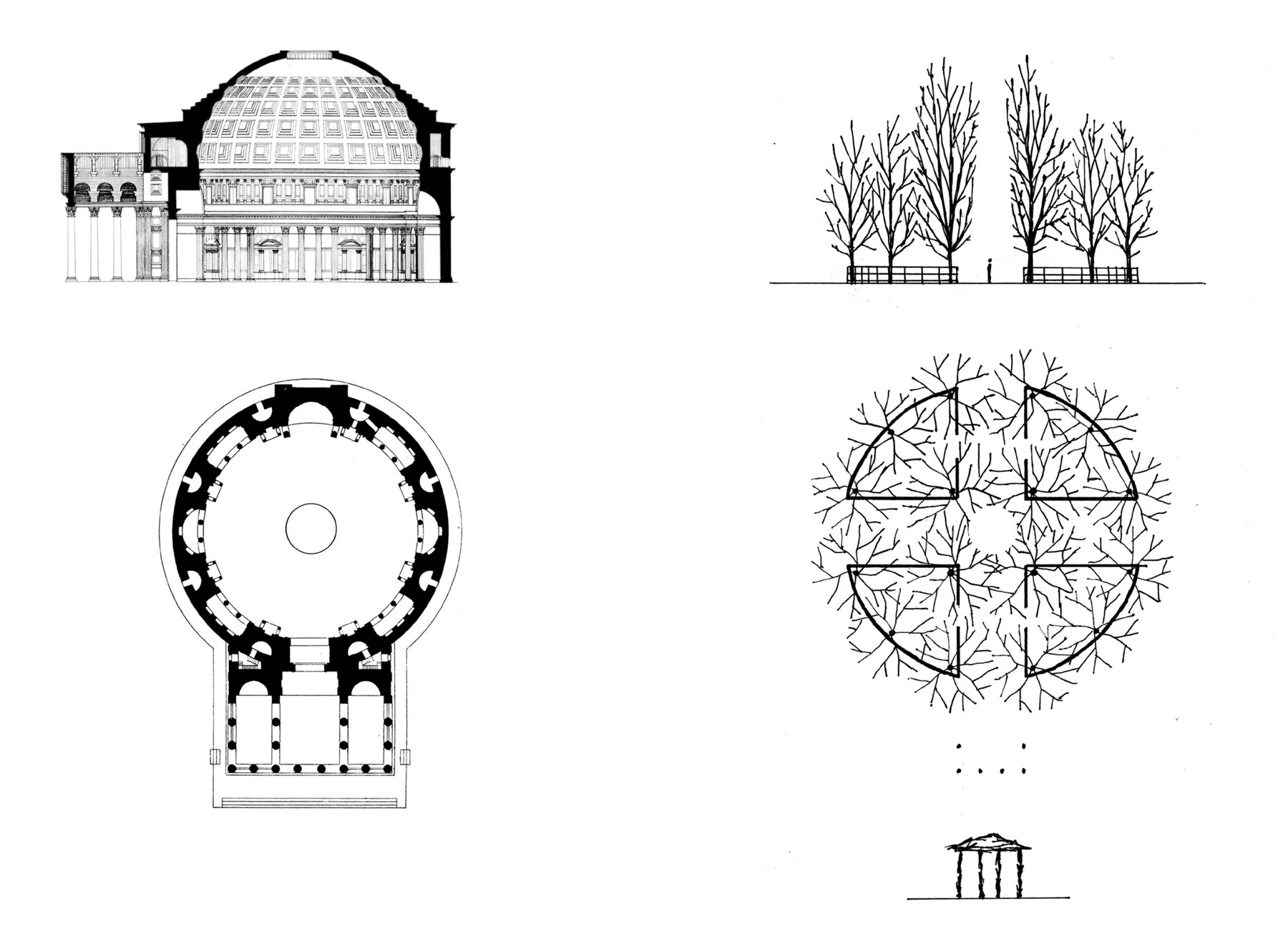 Tirtiaux Adrien — Le petit Panthéon, 2026